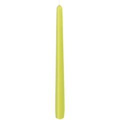 Leuchterkerze kiwi 25cm 50Stück von Duni