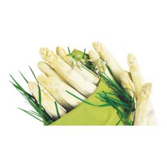 BioServiettenWh.Asparagus40x40 60ct von Duni