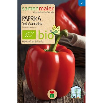 Bio Paprika Yolo Wonder - Saatgut für zirka 10 Pflanzen