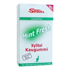 Bio Mint Fresh Kaugummi 30g - 24er Vorteilspack von Styrums