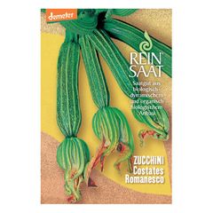 Bio Zucchini Costates Romanesco - 5er Vorteilspack von Reinsaat