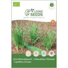 Bio Schnittknoblauch 4.85g Saatgut von Living Seeds