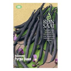 Bio Buschbohne Purple Queen Samen - 5er Vorteilspack von Reinsaat