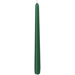 Leuchterkerze grün 25cm 50Stück von Duni