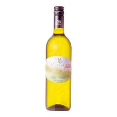 Bio Grüner Veltliner Vogelsang 2023 750ml - Weißwein von HuM Hofer Bio Weingut