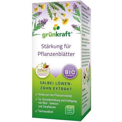 Salbei Löwenzahn Pflanzen Extrakt 200ml von Grünkraft