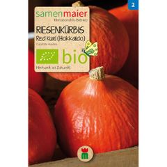 Bio Riesen Kürbis - Uchiki Kuri - Hokkaido - Saatgut für zirka 5 Pflanzen