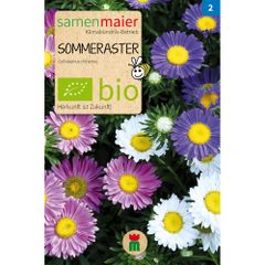 Bio Sommeraster Mischung - Saatgut für zirka 50 Pflanzen