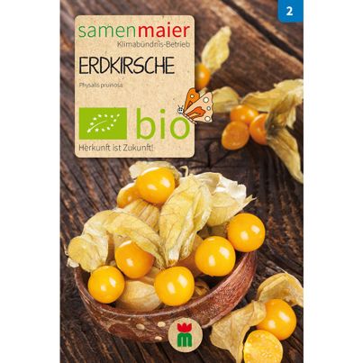 Bio Erdkirsche - Saatgut für zirka 200 Pflanzen