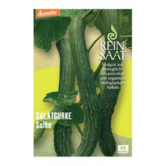 Bio Salatgurke Saiko - 5er Vorteilspack von Reinsaat
