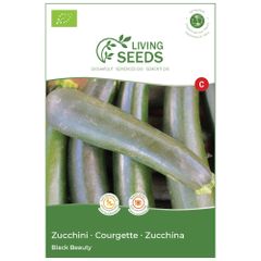 Bio Zucchini Black Beauty 5.37g Saatgut von Living Seeds