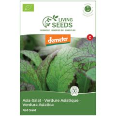 Bio Asia Salat Red Giant 4.6g Saatgut von Living Seeds