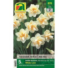 Blumenzwiebel Herbst 2  von Austrosaat