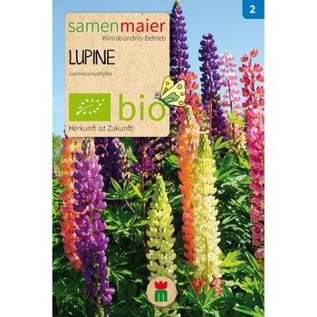 Bio Lupine Mischung - Saatgut für zirka 10 Pflanzen