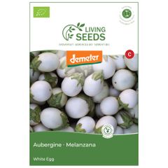 Bio Aubergine White Egg 3.75g Saatgut von Living Seeds
