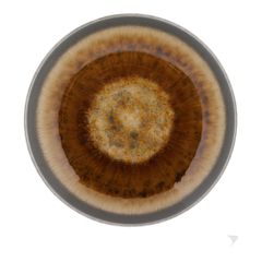 Iris Brown deep plate diameter 26cm - value pack of 6 from Cosy&Trendy