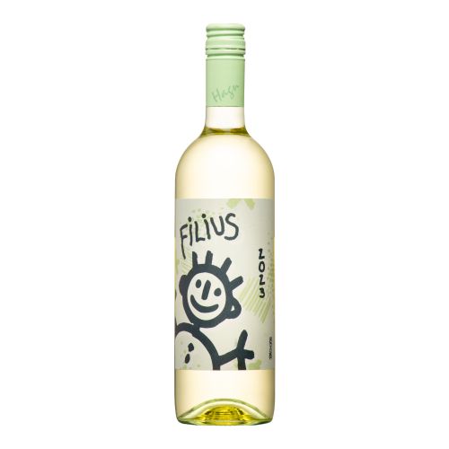 Grüner Veltliner Filius 2023 750ml von Hagn