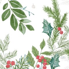 Servietten Winter Green.3lg 33 250ct von Duni