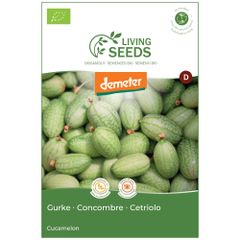 Bio Gurke Pepquino 5.05g Saatgut von Living Seeds