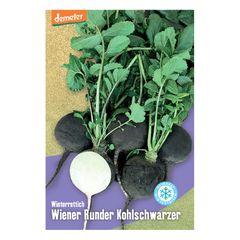 Bio Wien. Run. Kohlschwarzer Samen - 5er Vorteilspack von Reinsaat