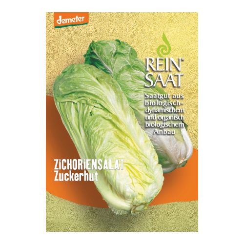 Bio Zichoriensalat Zuckerhut Saatgut - 1 Beutel - 5er Vorteilspack von Reinsaat