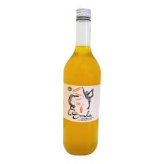 Bio beSonder Kurkuma Ingwer EW 700ml - 6er Vorteilspack von Besonder