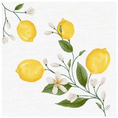 Bio Servietten Lemon 40x40 60 Stk. von Duni
