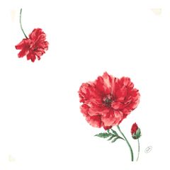 Dunisoft Servietten 40x40 60ct von Duni