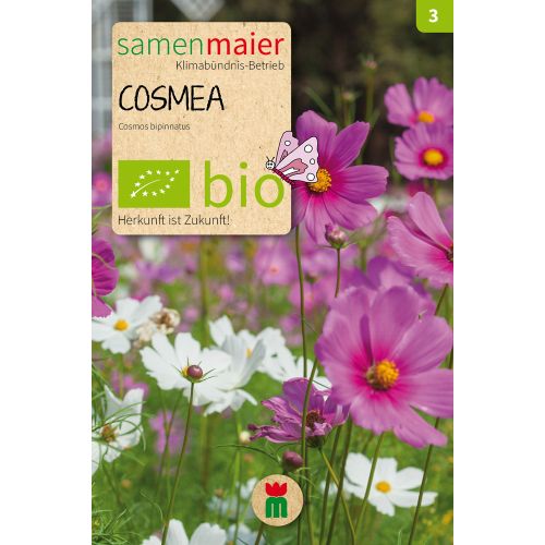 Bio Cosmea Schmuckkörbchen Mischung - Saatgut für zirka 30 Pflanzen
