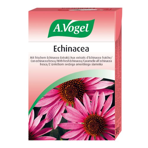 Organic Echinacea herbal sweets 30g - value pack of 12 from A. Vogel