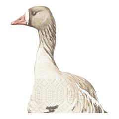 Servietten Wood&Goose3lg 33x33 50ct von Duni