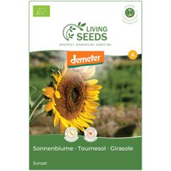 Bio Sonnenblume sunset 5.1g Saatgut von Living Seeds