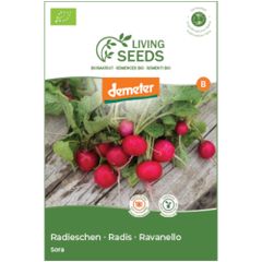 Bio Radieschen Sora 7.6g Saatgut von Living Seeds