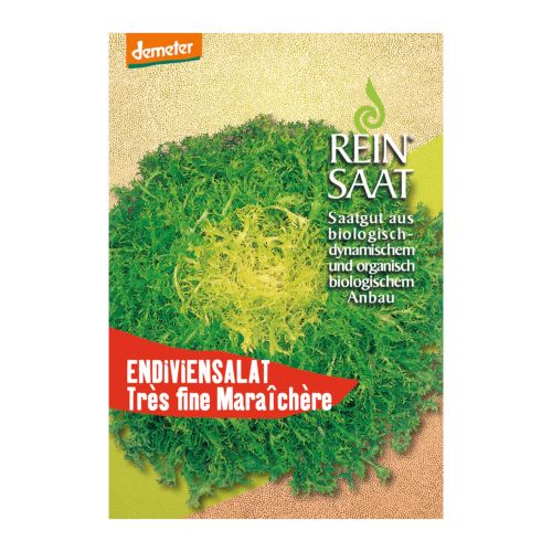 Bio Endiviensalat Tres Fine Maraichere Saatgut - 1 Beutel - 5er Vorteilspack von Reinsaat