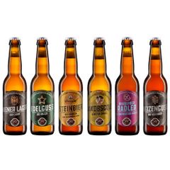 BIO Bier Probierpaket 24 x 330ml von Brauhaus Gusswerk