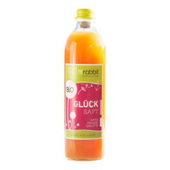 Bio Saft Apfel-Orange-Karotte EW 500ml - 12er Vorteilspack von Fitrabbit