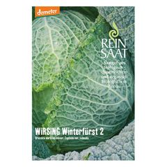 Bio Wirsing Winterfürst 2 Samen - 5er Vorteilspack von Reinsaat