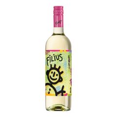 Grüner Veltliner Filius 2022 1500ml - Weißwein von Hagn