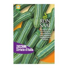 Bio Zucchini Striato D'Italia Saatgut - 1 Beutel - 5er Vorteilspack von Reinsaat