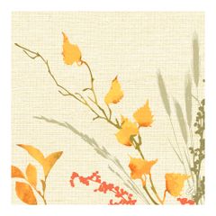 Dunisoft Servietten 40x40 60ct von Duni