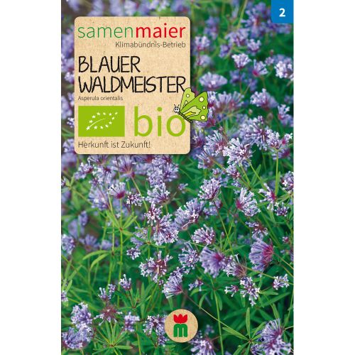 Bio Blauer Waldmeister - Saatgut für zirka 60 Pflanzen