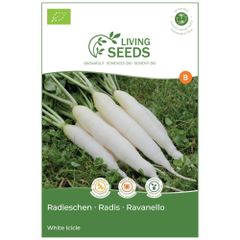 Bio Radieschen White Icicle 8.6g Saatgut von Living Seeds