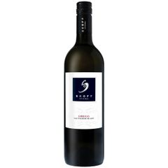 Sauvignon Blanc Obegg 2019 750ml - Weißwein von Weingut Skoff Original