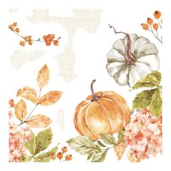 Bio ServiettenSp.Pumpkin40x40 60ct von Duni
