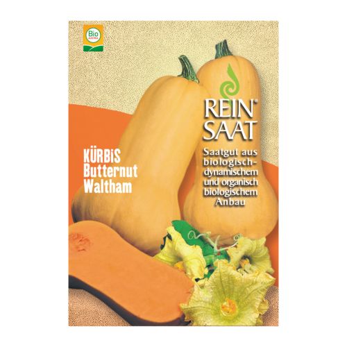 Bio Kürbis Butternut Waltham Saatgut - 1 Beutel - 5er Vorteilspack von Reinsaat