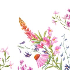 Servietten Floret 4lg. 40x40 50ct von Duni