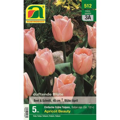 Austrosaat Blumenzwiebel Herbst 3a  von Austrosaat