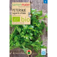 Bio Petersilie Gigante dItalia - 2 g Saatgut