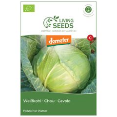 Bio Weißkohl Holsteiner Platter 3.9g Saatgut von Living Seeds