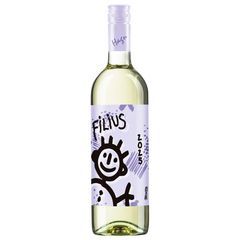 Grüner Veltliner Filius 2025 750ml von Hagn